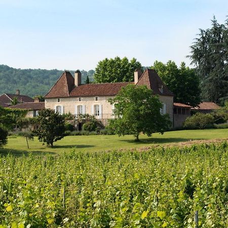 Chateau Gautoul Puy-lʼÉvêque Exteriör bild